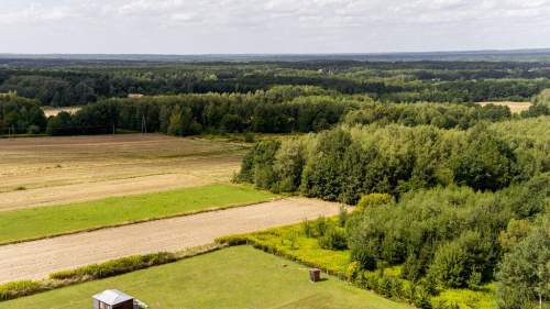 Działka leśna Łęki Dolne - gm. Pilzno 