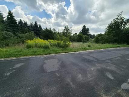 Działka przemysłowa w Łasku