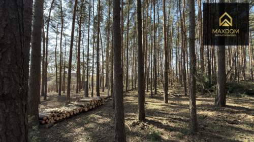 Urokliwa działka pod zabudowę jednorodzinną las