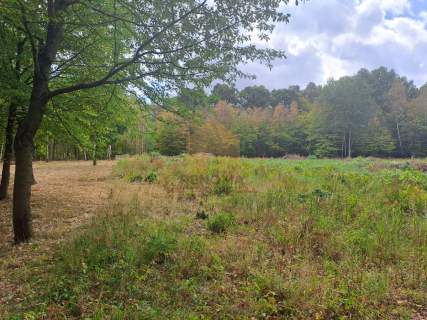 Działka budowlana/usługowa w zaciszu lasu 3350m2
