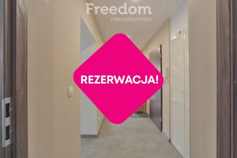 Mieszkanie 3 pokoje z osobną kuchnią do wynajęcia 