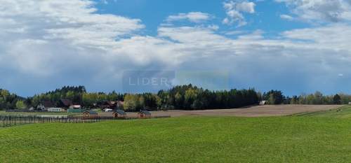 Linia brzegowa, ok.39 000PUM/PUU
