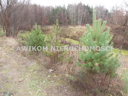 Działka rolna na sprzedaż, 15362 m2, Skierniewice