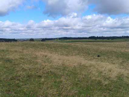 Mazury Puszcza Borecka Działka Rolna 12,4469 ha