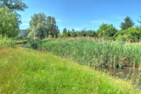 Nowoczesne biuro 170 m Open Space Parking