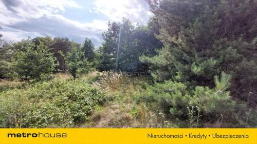 Działka pod zabudowę w Maszewie 2400 m2