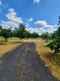 Działka siedliskowa na sprzedaż, 75200 m2, Kornelówka