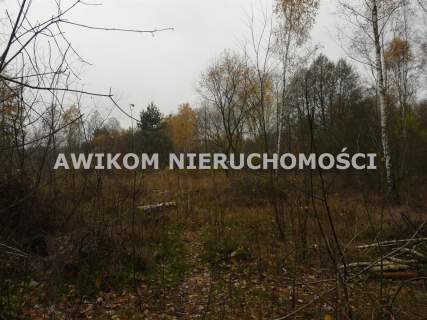 Działka budowlana na sprzedaż, 12500 m2, Antoniew