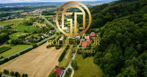 Dom wolnostojący z potencjałem 411,59m2