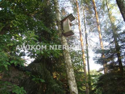 Działka budowlana na sprzedaż, 4300 m2, Ojrzanów