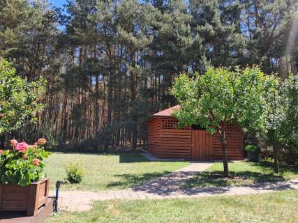Atrakcyjny dom w otoczeniu lasu na działce 1500 m2, Prażuchy