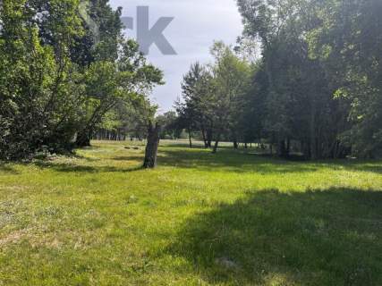 Urokliwa działka 2,54 ha przy Bolimowskim Parku Krajobrazowym