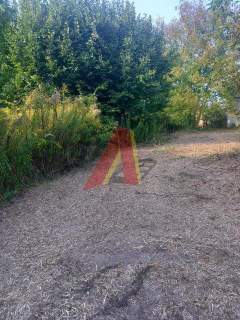 4ha ziemi