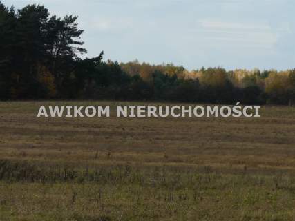 Działka rolna na sprzedaż, 162570 m2, Wycześniak