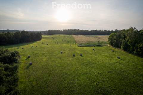 14,2 ha wysokiej klasy gruntów dochód dzierżawa