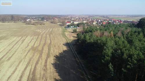 Działka budowlana z lasem dla inwestora