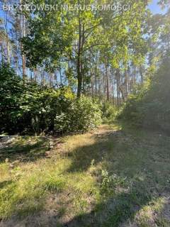 Wawer, Falenica, 1980 m2, PnB, wolnostojący
