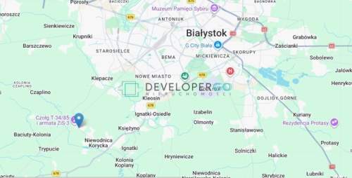 Działka budowlana z pięknymi drzewami