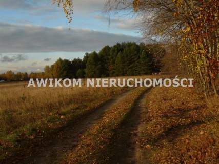 Działka budowlana na sprzedaż, 1118 m2, Puszcza Mariańska