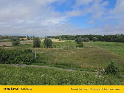 1,59 ha nad Nogatem Twoje miejsce na Żuławach