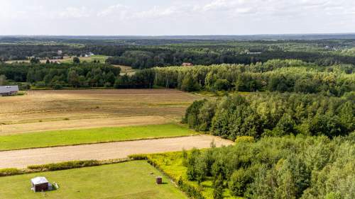 Działka leśna Łęki Dolne - gm. Pilzno 