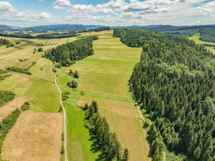 Działka w Niedzicy prywatna oaza ciszy