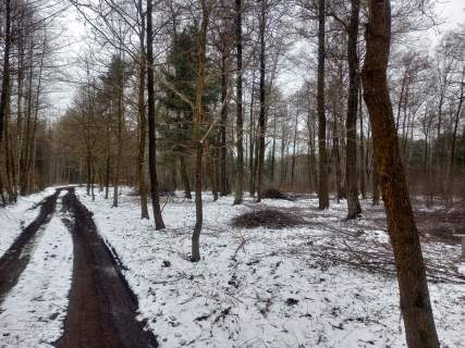Działki na sprzedaż - Łosie/Mokre, 4x1500 m2, 150zł/m2