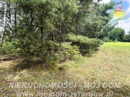 Działka rolno-leśna w Petrykozach - 16 975 m2