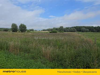 1,59 ha nad Nogatem Twoje miejsce na Żuławach