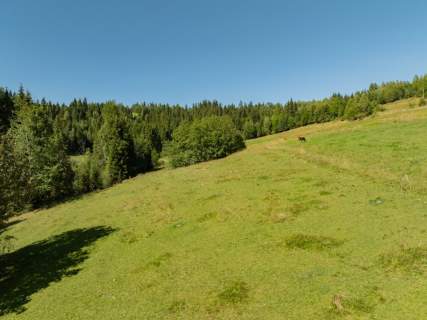 Działka rolno-leśna Obidowa