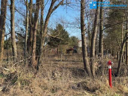 Działka 1195m2 w pobliżu Puszczy Kampinoskiej 