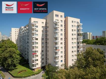 2 ustawne pokoje z oddzielną i widną kuchnią