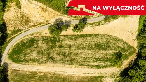 Działka 90 ar z Wz Olszowa, TANIO 