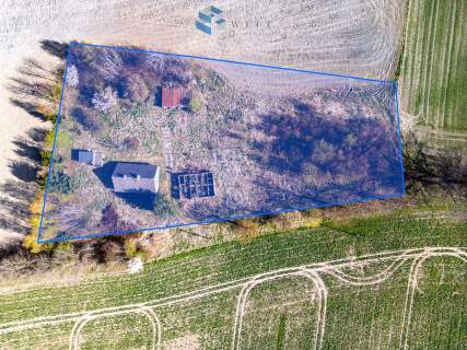 Leszczynka Mała 5000 m 2 działki siedlisko