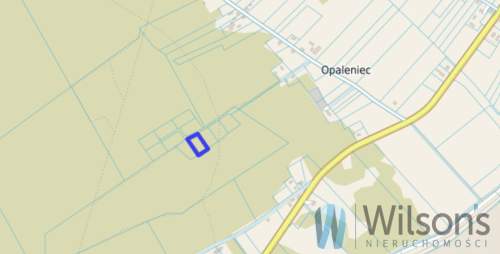 Działka rolna 3010 m2 / Opaleniec / Chorzele