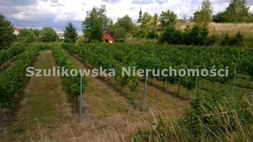 Działka budowlana na sprzedaż, 2500 m2, Byczeń