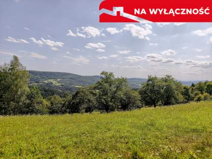 Działka 90 ar z Wz Olszowa, TANIO 