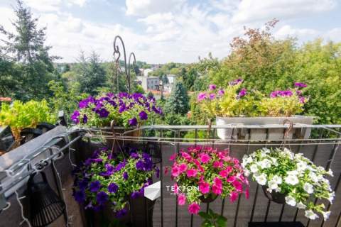 4 pokoje z balkonem, piwnicą i niezależną kuchnią