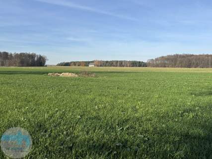 Ponad 6 ha ziemi idealne pod siedlisko, agroturystykę, st