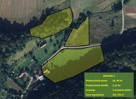 Dom jednorodzinny i działki niezabudowane, licytacja
