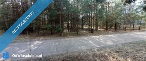 OKAZJA Prywatny las 1,62 ha tylko 1h 15 min od Warszawy
