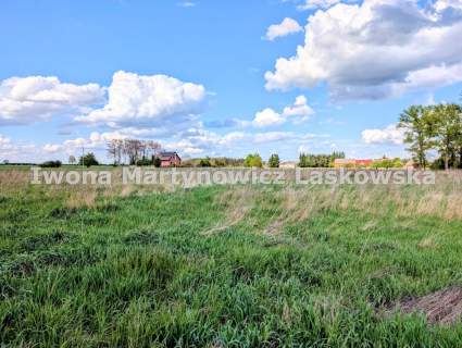 Siedlisko - 1,18 ha działka, Boraszyn, Gmina Wołów
