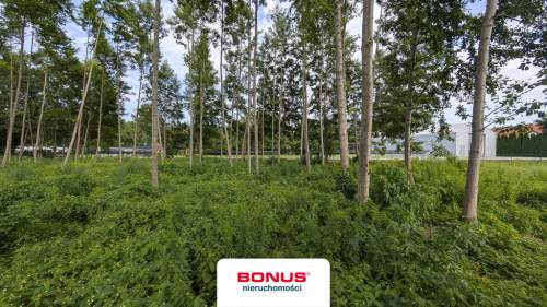 Działka budowlano-usługowa z linią brzegową