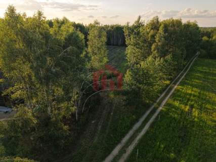 Działki budowlane lesie - Zarezerwowane
