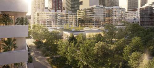 Wola Miedziana 44 m Widok na park Remont