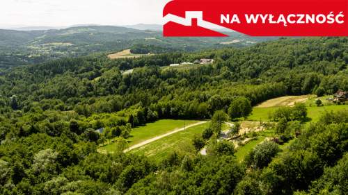Działka 90 ar z Wz Olszowa, TANIO 