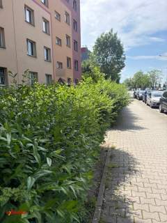 Gotowe do zamieszkania 