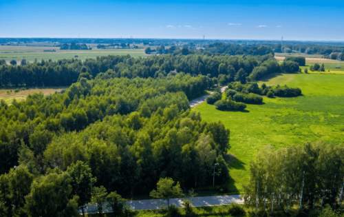 Prestiż i kultura. Działki z WZ obok Żelazowej Wol