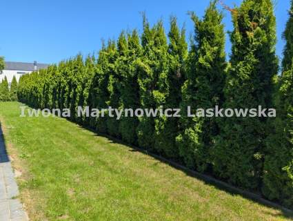 Bezczynszowe mieszkanie, 2 pkoje, 70m2, Lubin