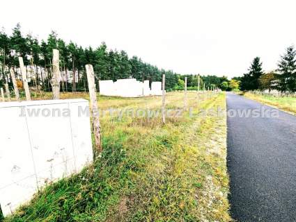 Dom pod lasem w budowie - 13 ar działka, Orzeszków